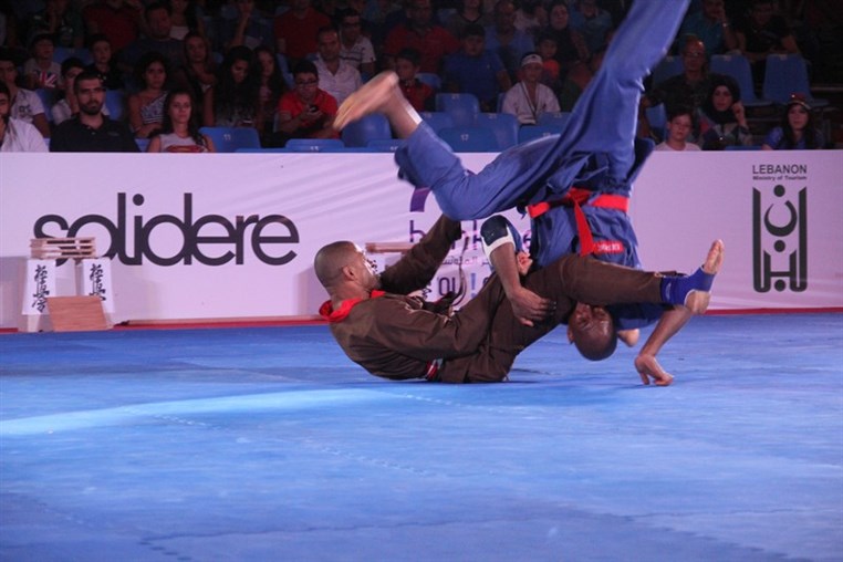 Martial Arts Festival